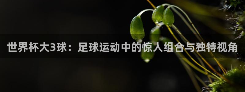 足球世界杯时间：世界杯大3球：足球运动中的惊人组合与独特视角