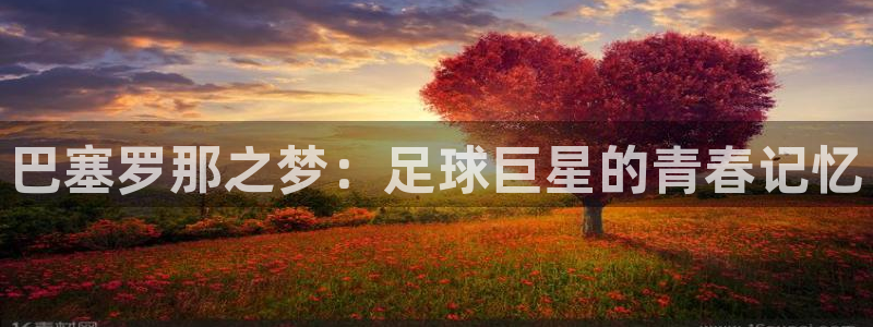 世界杯直播网：巴塞罗那之梦：足球巨星的青春记忆