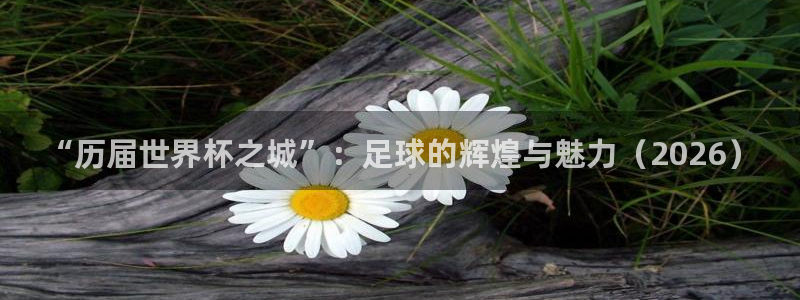 世界杯直播时间：“历届世界杯之城”：足球的辉煌与魅力（2026）