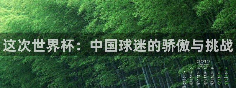 世界杯预选赛欧洲赛区积分榜：这次世界杯：中国球迷的骄傲与挑战