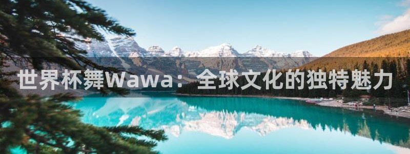 中国 世界杯：世界杯舞Wawa：全球文化的独特魅力