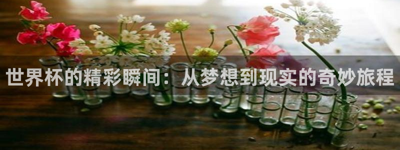 2026世亚预赛赛程表：世界杯的精彩瞬间：从梦想到现实的奇妙旅程