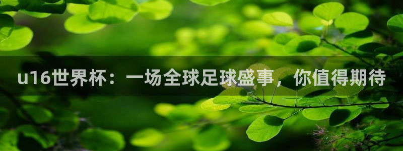2026世亚预赛赛程表：u16世界杯：一场全球足球盛事，你值得期待
