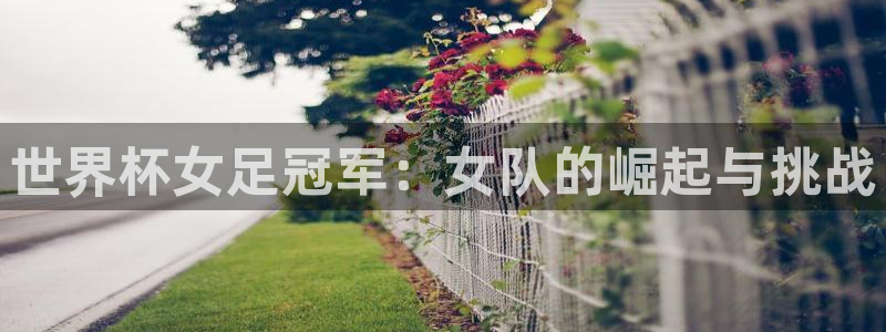 欧联杯直播：世界杯女足冠军：女队的崛起与挑战