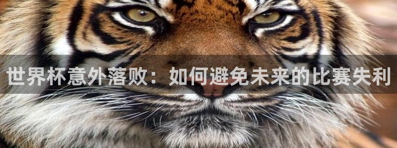 2026世界杯亚洲区预选赛赛程：世界杯意外落败：如何避免未来的比赛失利