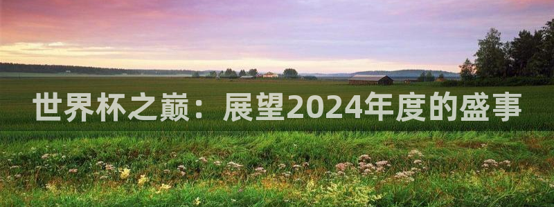 欧洲世界杯预选赛：世界杯之巅：展望2024年度的盛事