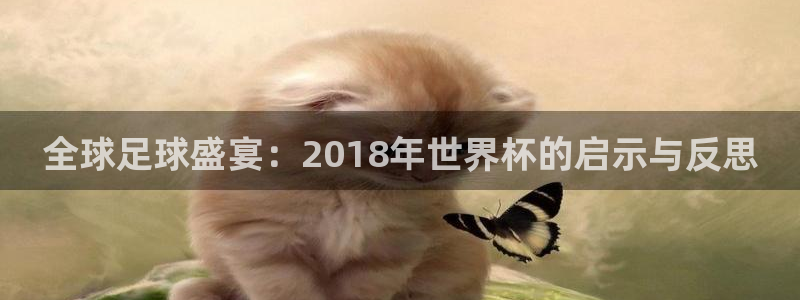 世界杯小组赛赛程：全球足球盛宴：2018年世界杯的启示与反思
