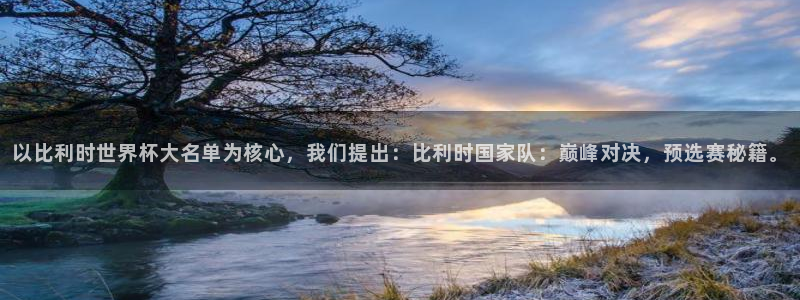 世界杯欧洲区世预赛赛程：以比利时世界杯大名单为核心，我们提出：比利时国家队：巅峰对决，预选赛秘籍。