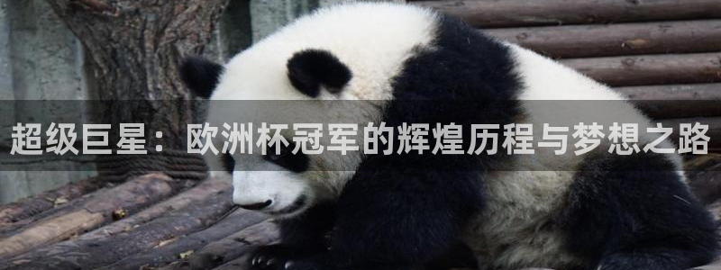 看世界杯：超级巨星：欧洲杯冠军的辉煌历程与梦想之路