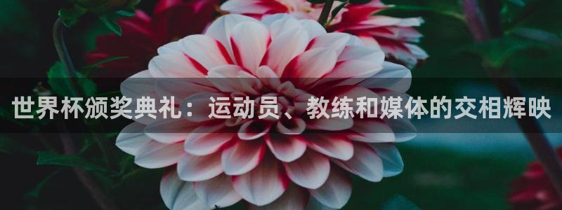 世界杯官网：世界杯颁奖典礼：运动员、教练和媒体的交相辉映