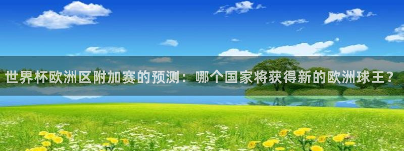 世界杯欧洲区预选赛：世界杯欧洲区附加赛的预测：哪个国家将获得新的欧洲球王？