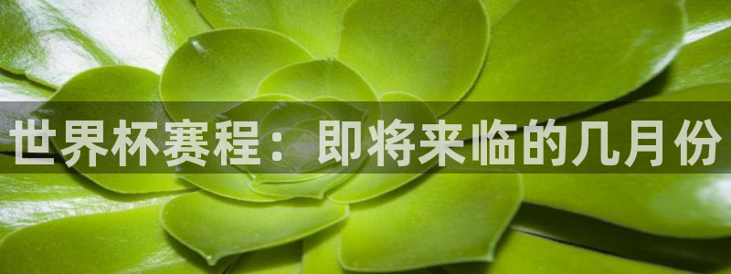 世界杯 赛程：世界杯赛程：即将来临的几月份