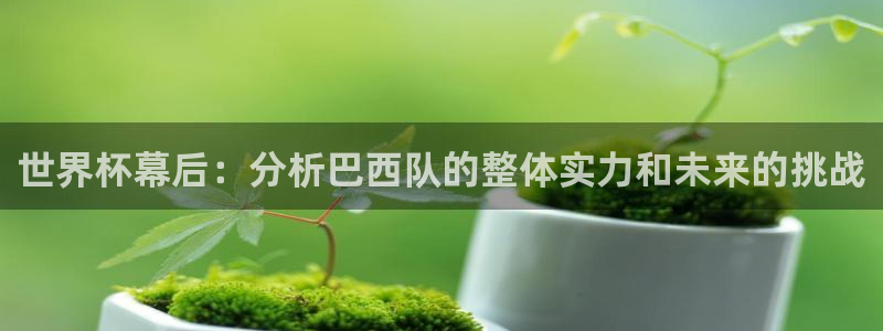 2026世界杯德国队阵容：世界杯幕后：分析巴西队的整体实力和未来的挑战